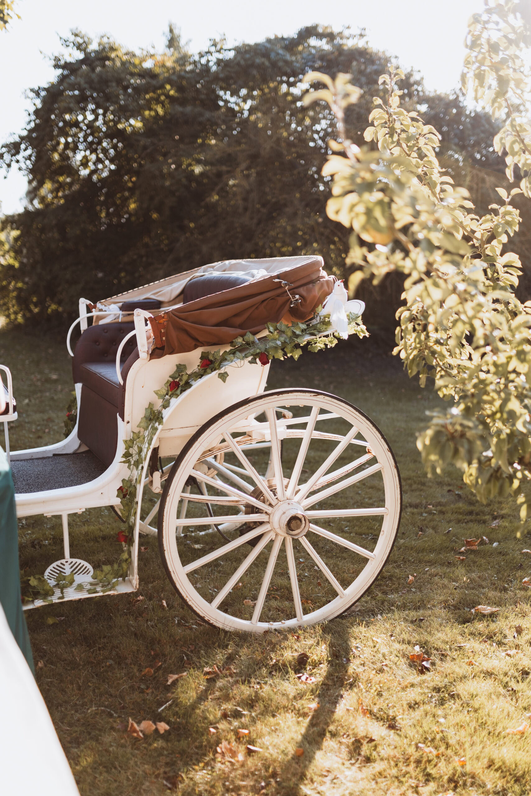 Hochzeitfoto in Ratzeburg, Hochzeitsfotograf Lübeck, Hochzeitfotograf Ratzeburg,