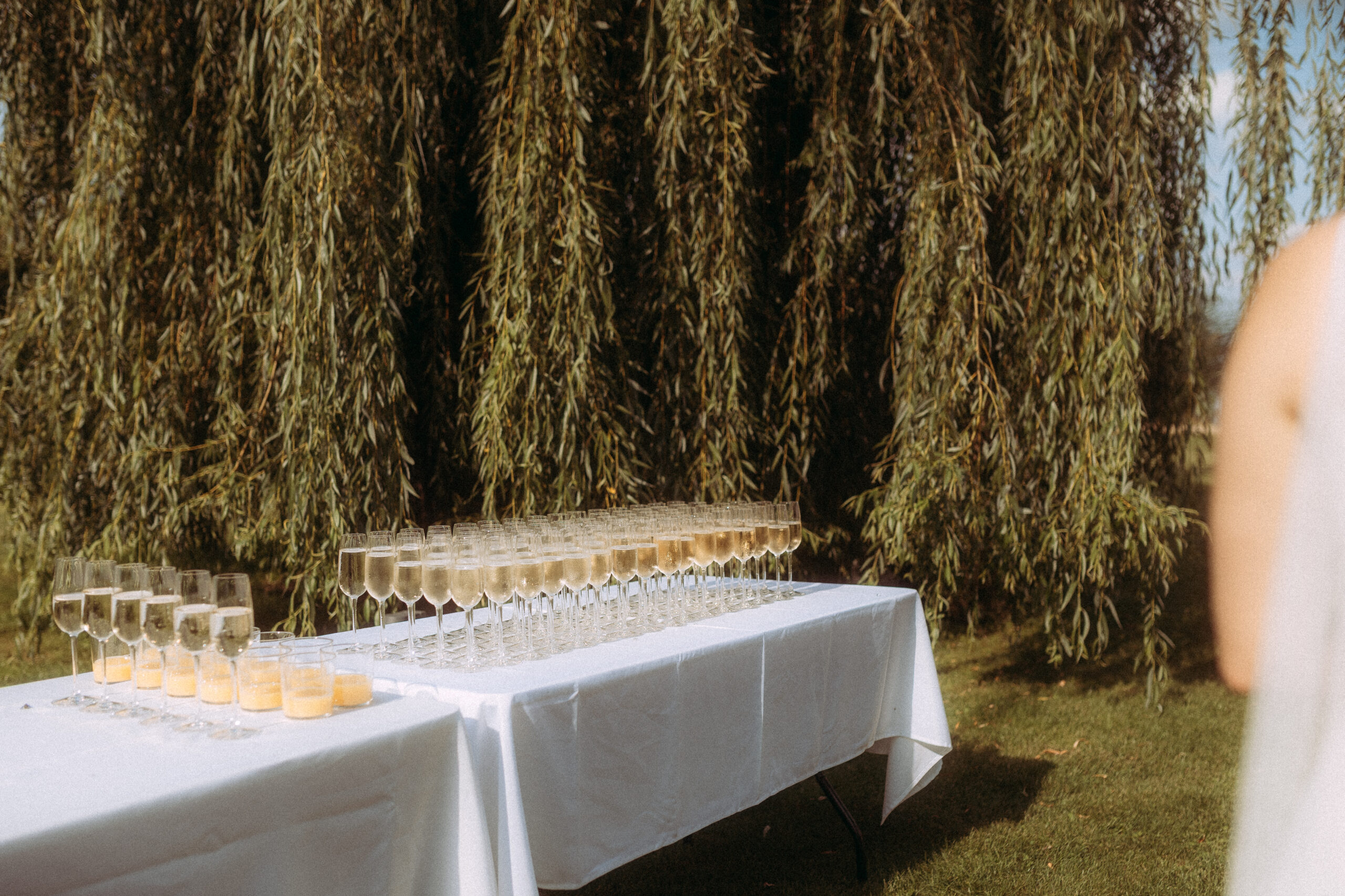 Champagnerempfang unter Weiden bei Hochzeit am Haus Heinz am See
