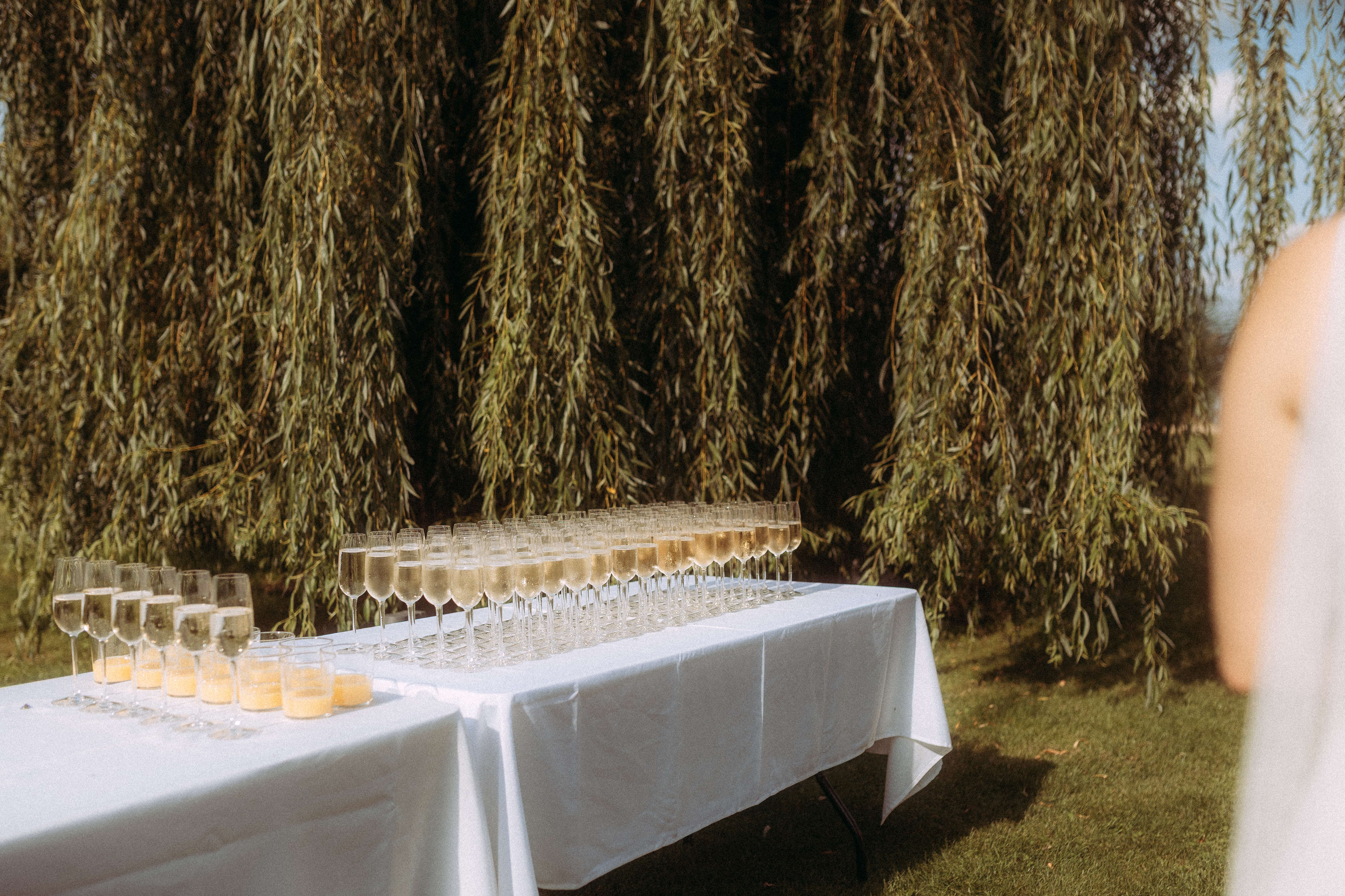 Champagnerempfang unter Weiden bei Hochzeit am Haus Heinz am See