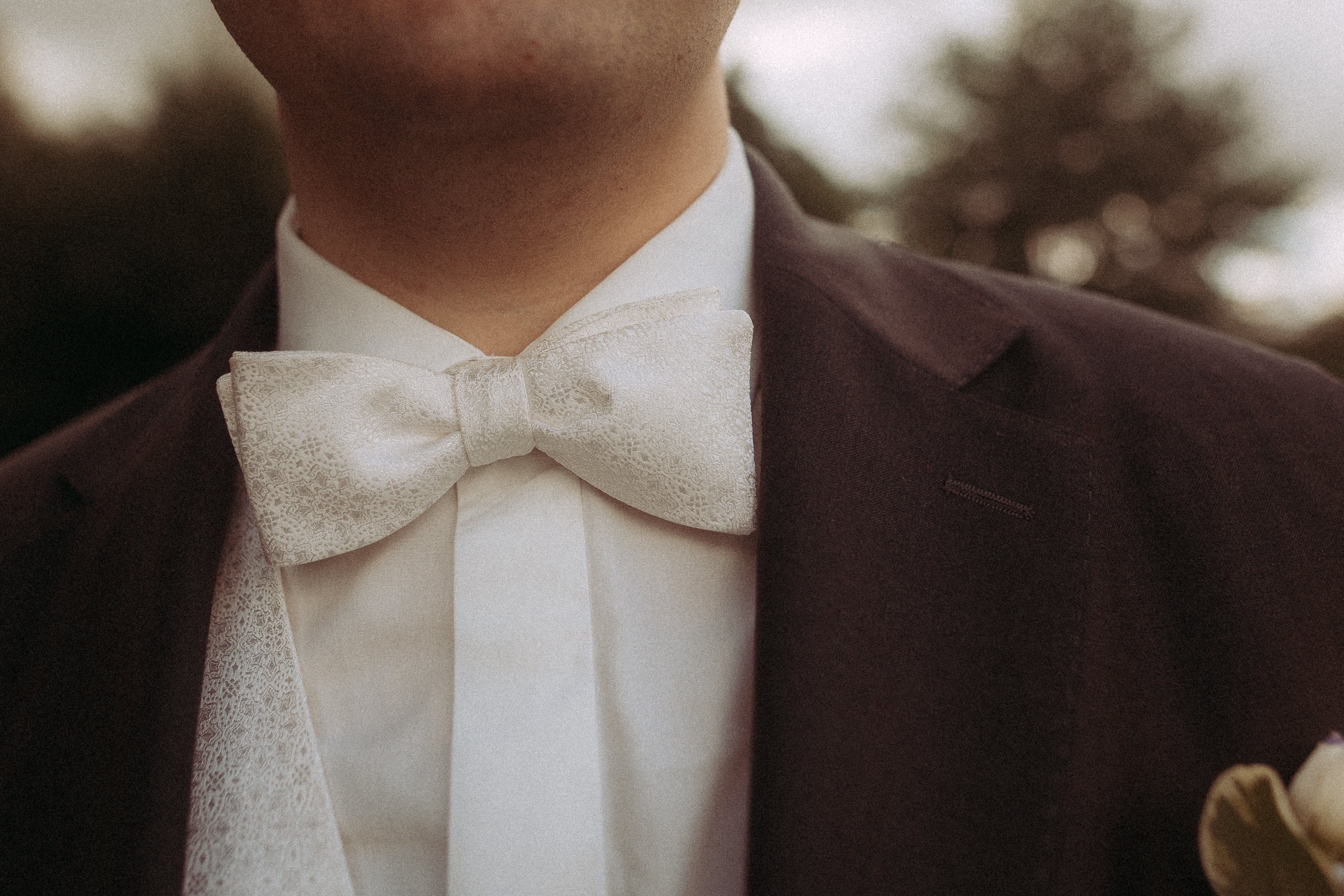 Bräutigam im Anzug mit weißer Fliege. Hochzeit Outfit Nahaufnahme.