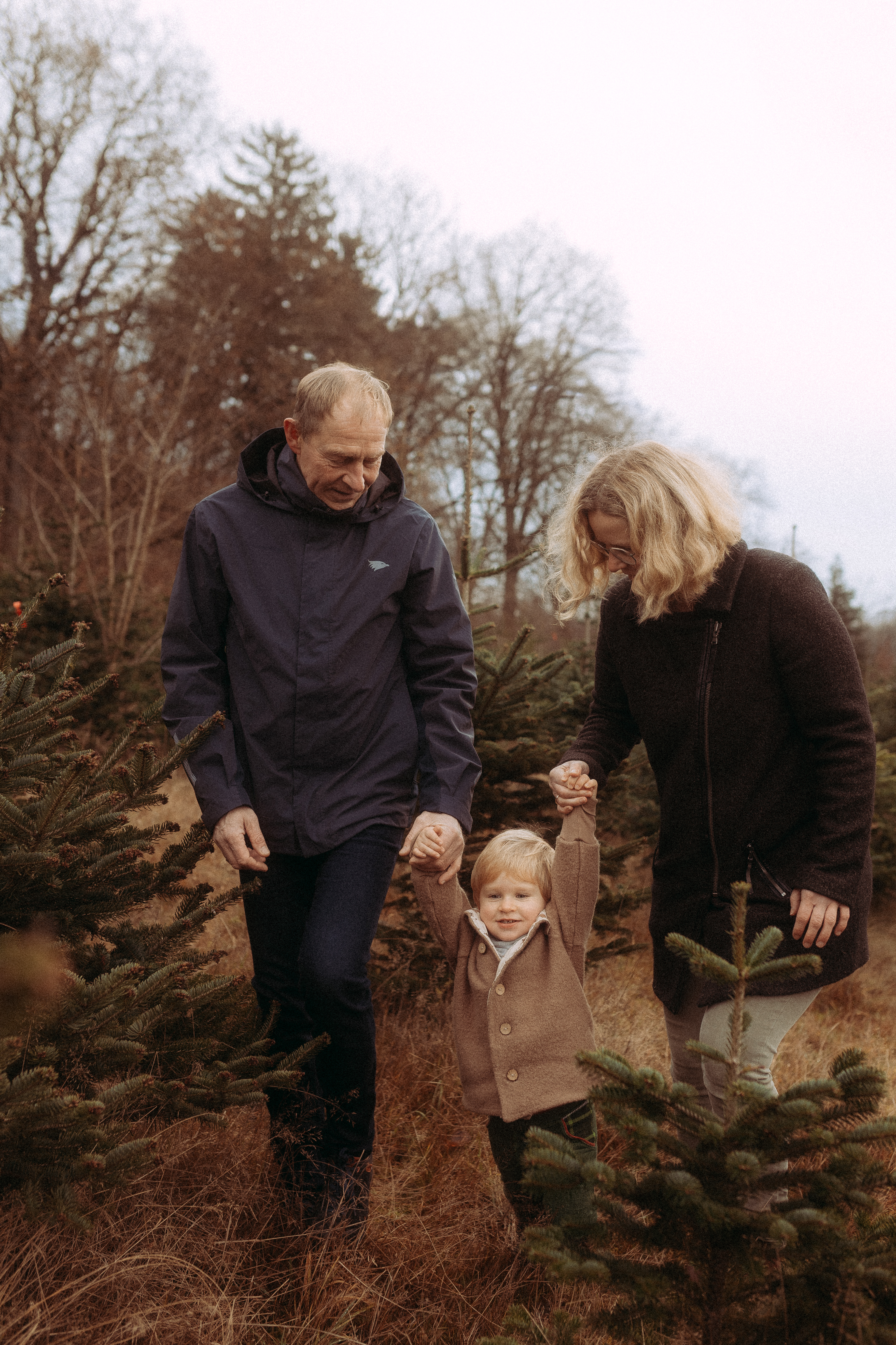 Familie wählt Weihnachtsbaum aus: Großeltern und Enkel halten Händchen auf der Suche nach dem perfekten Baum.
