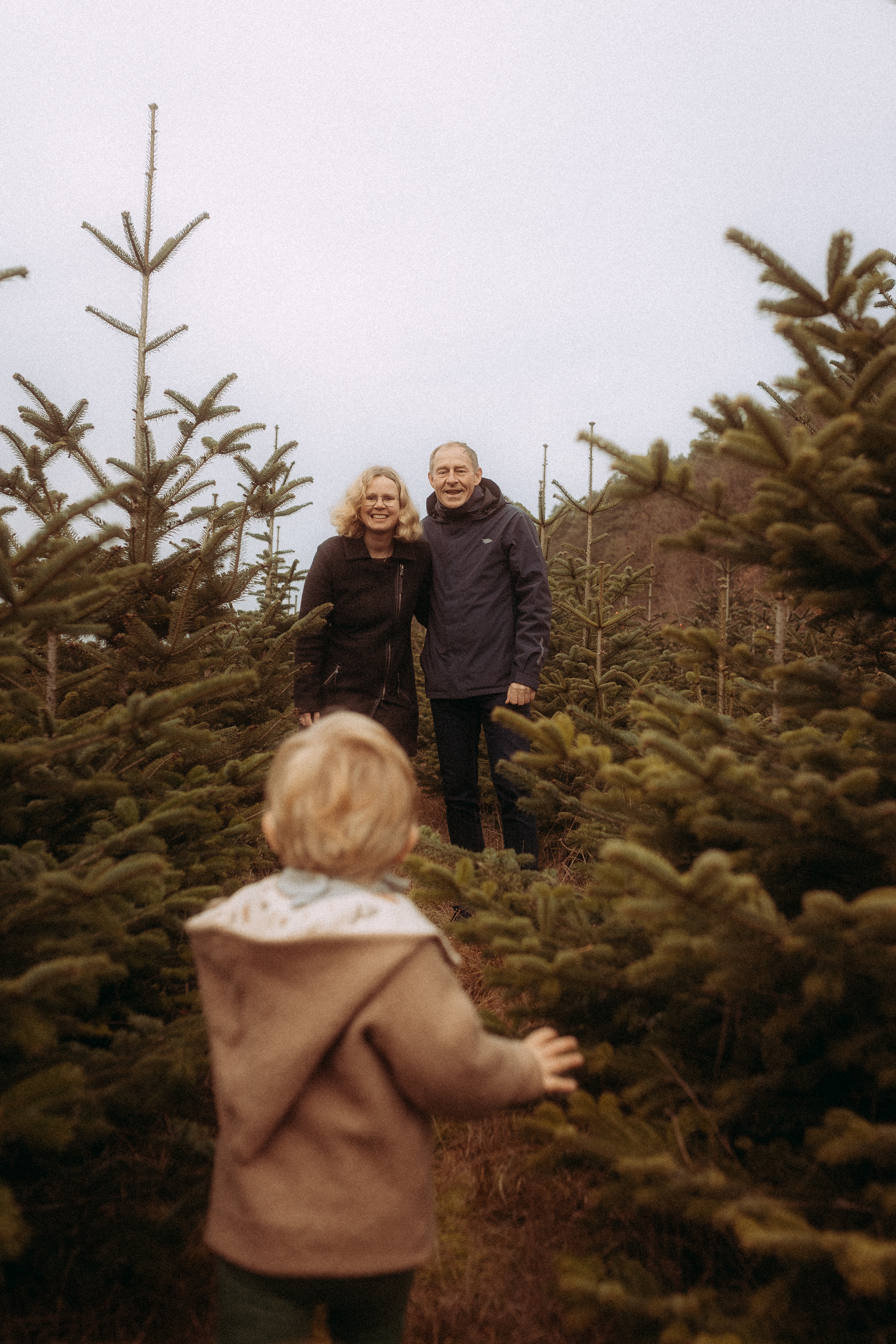 Familie sucht Weihnachtsbaum aus, Kind läuft auf Eltern zu in einer Baumschule.