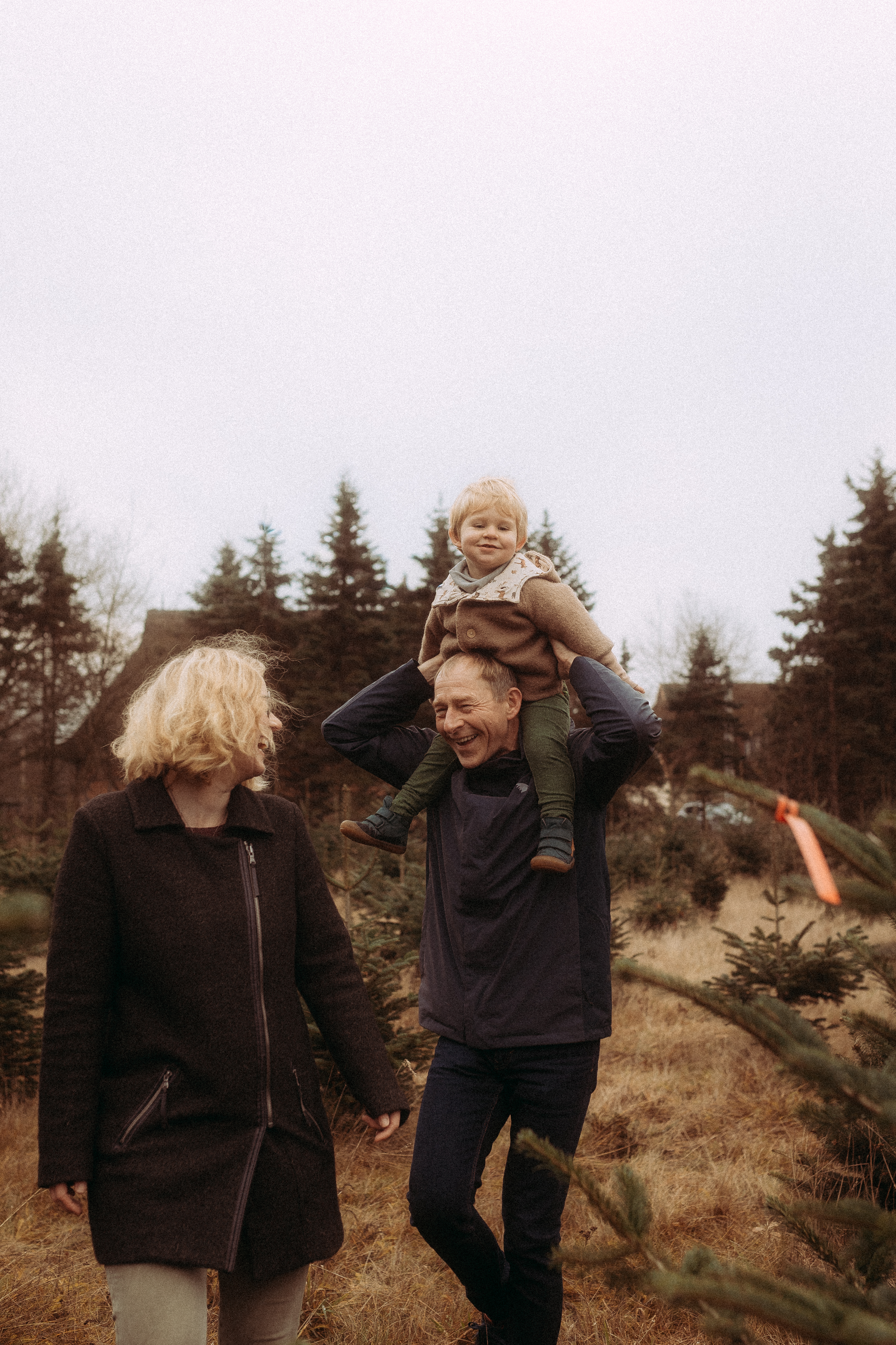 Familie sucht Weihnachtsbaum: Vater trägt Kind auf Schultern, Mutter lächelt.