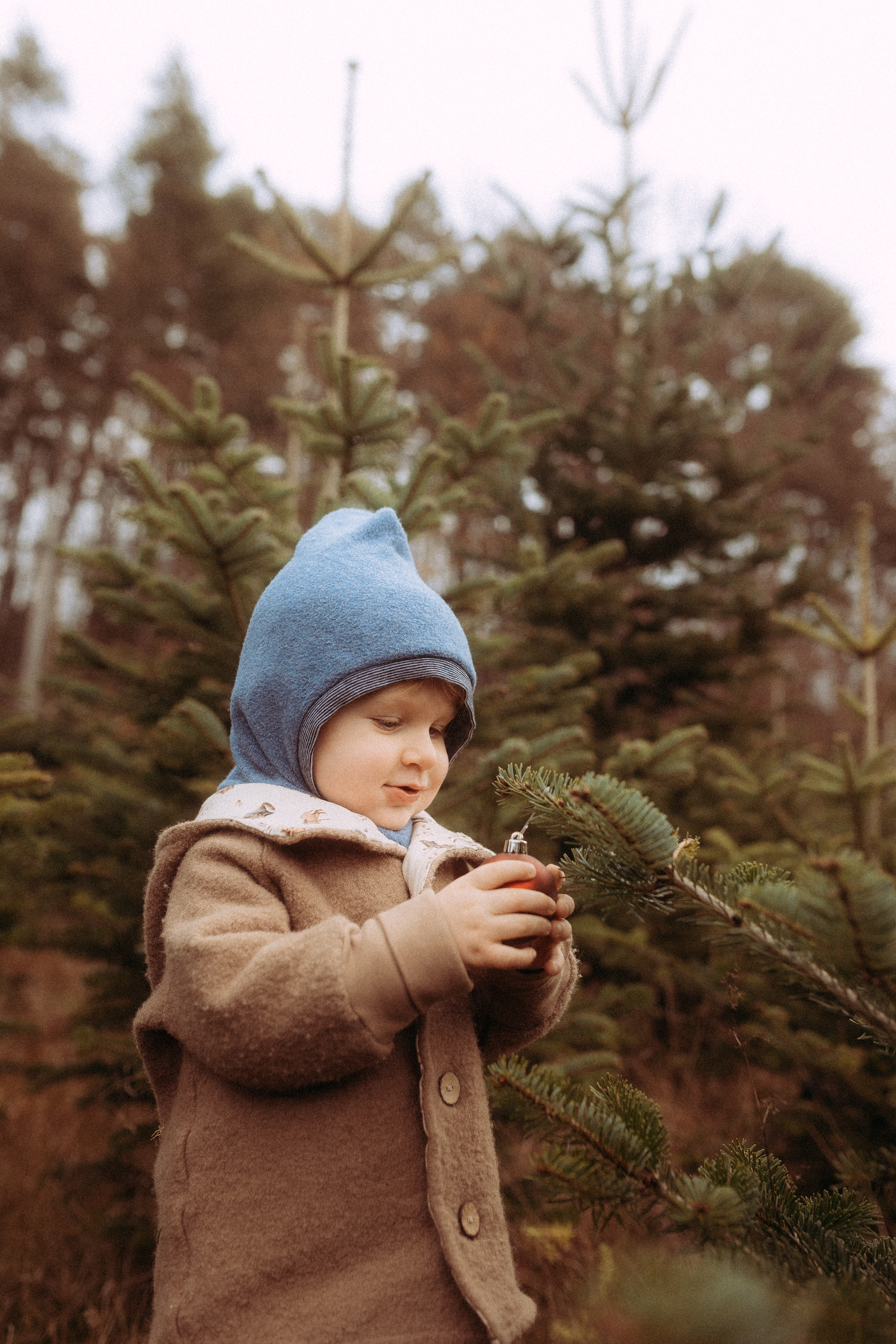 Kleines Kind mit Mütze und Wollmantel betrachtet Christbaumkugel vor Tannenbäumen