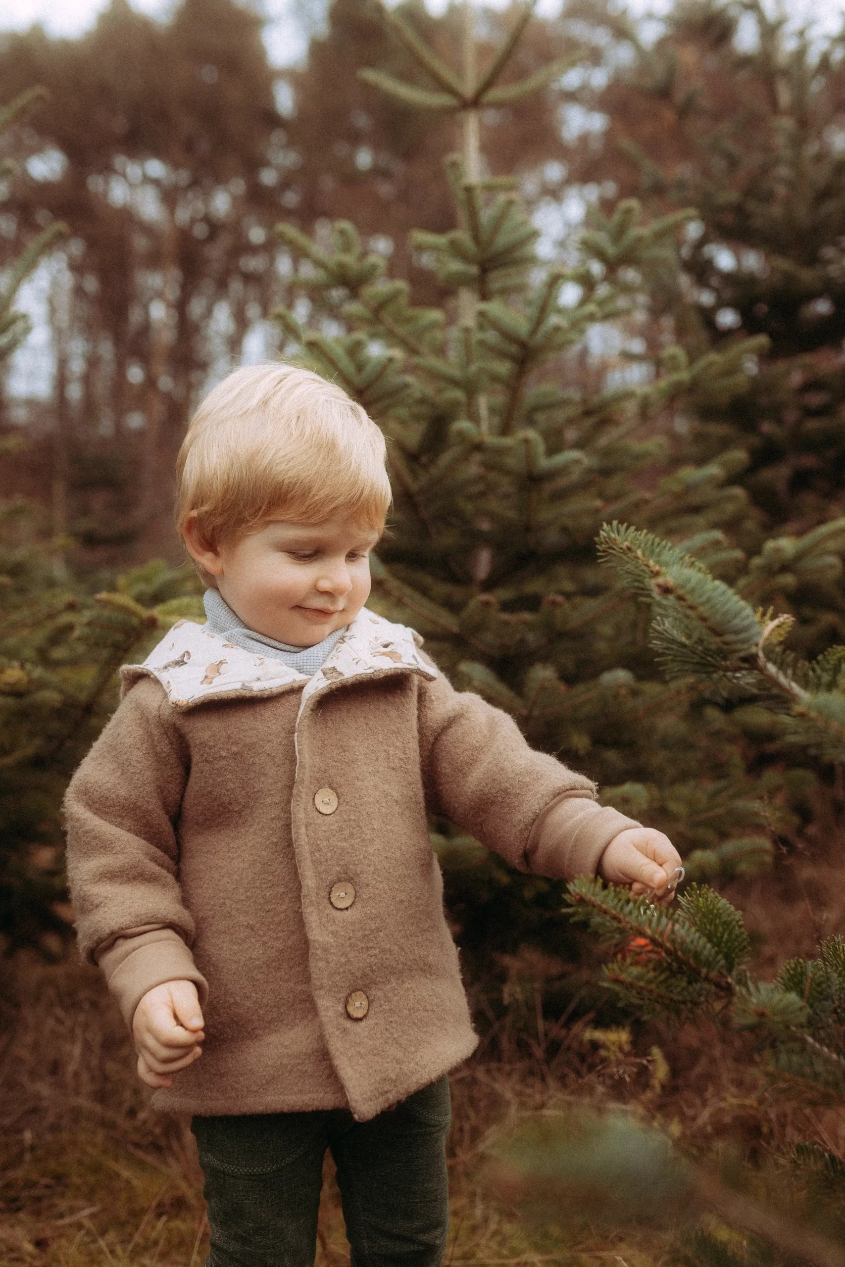 Kleiner Junge im Wald