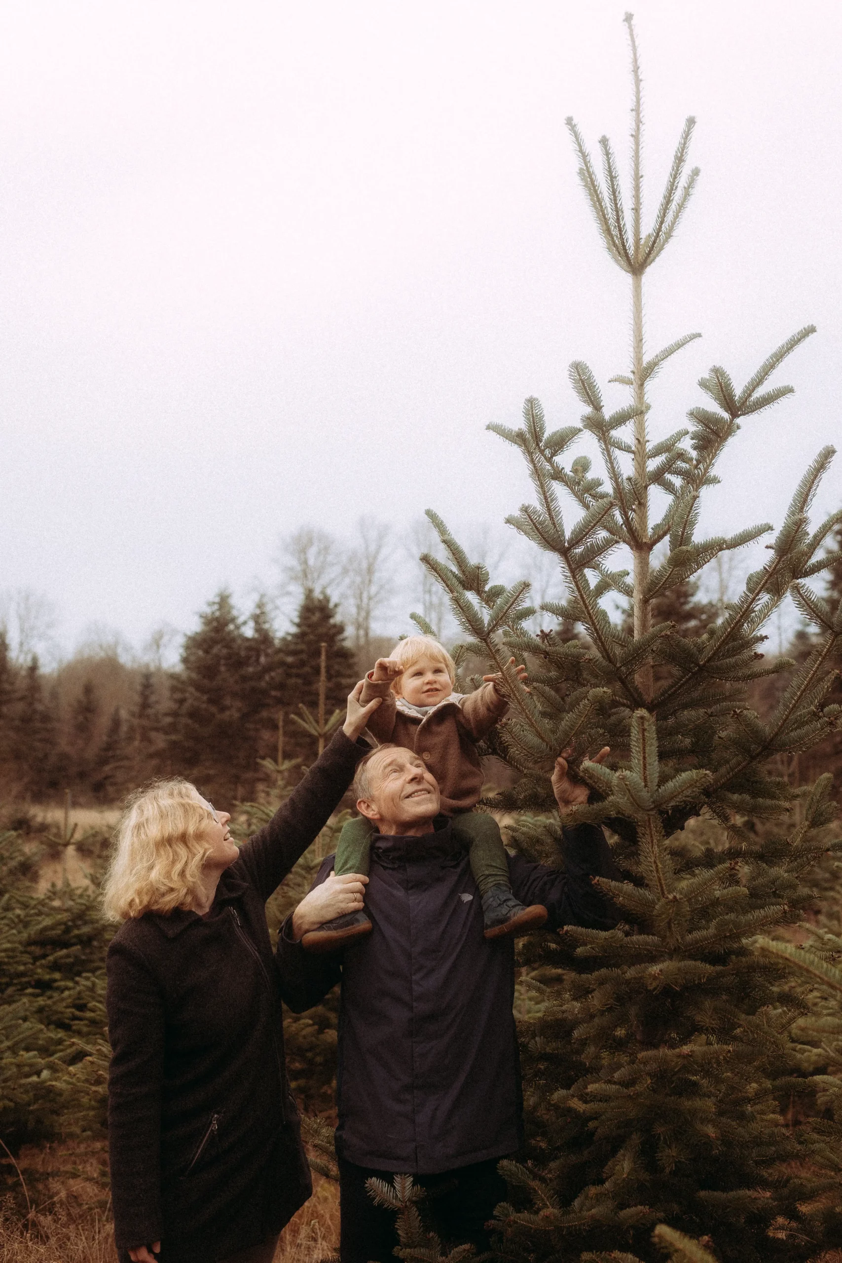 Familienfotograf in Schwerin: Familie am Weihnachtsbaum