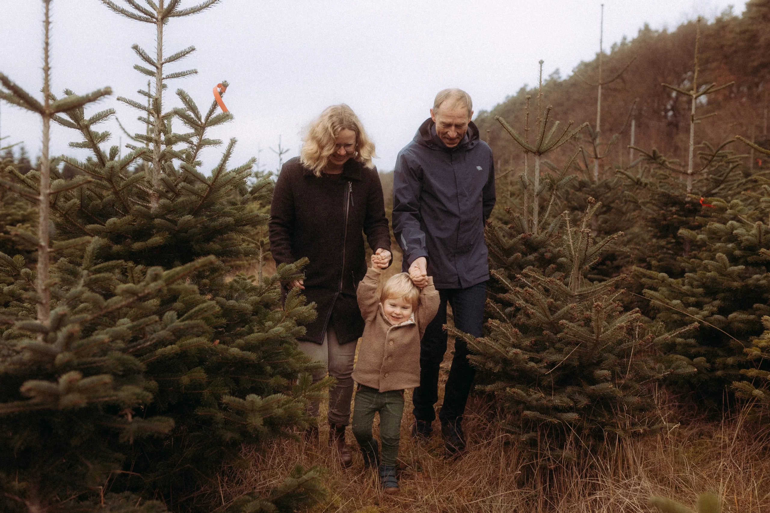 Familie wählt Weihnachtsbaum aus
