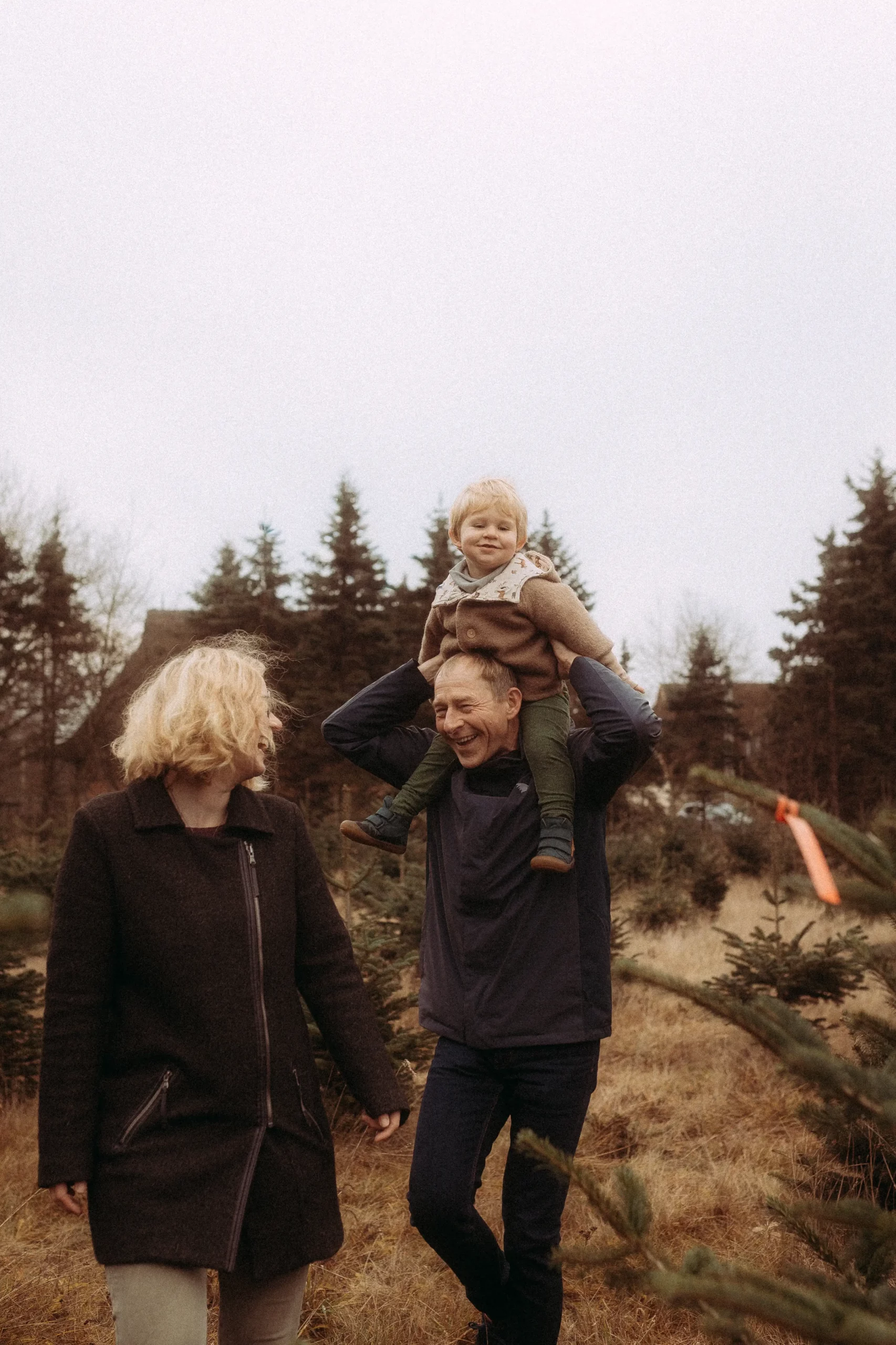 Familie sucht Weihnachtsbaum