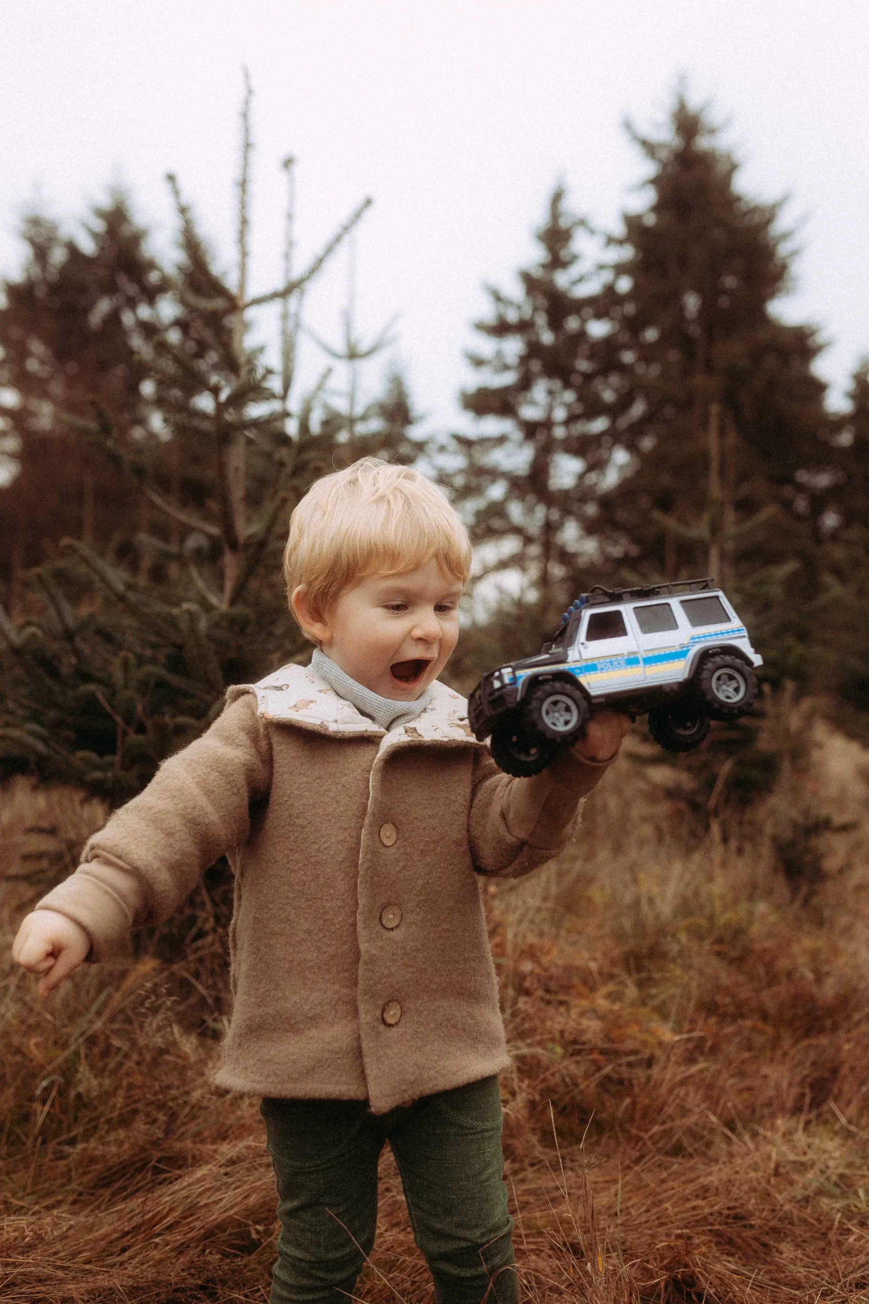 Junge spielt mit Spielzeugauto im Wald