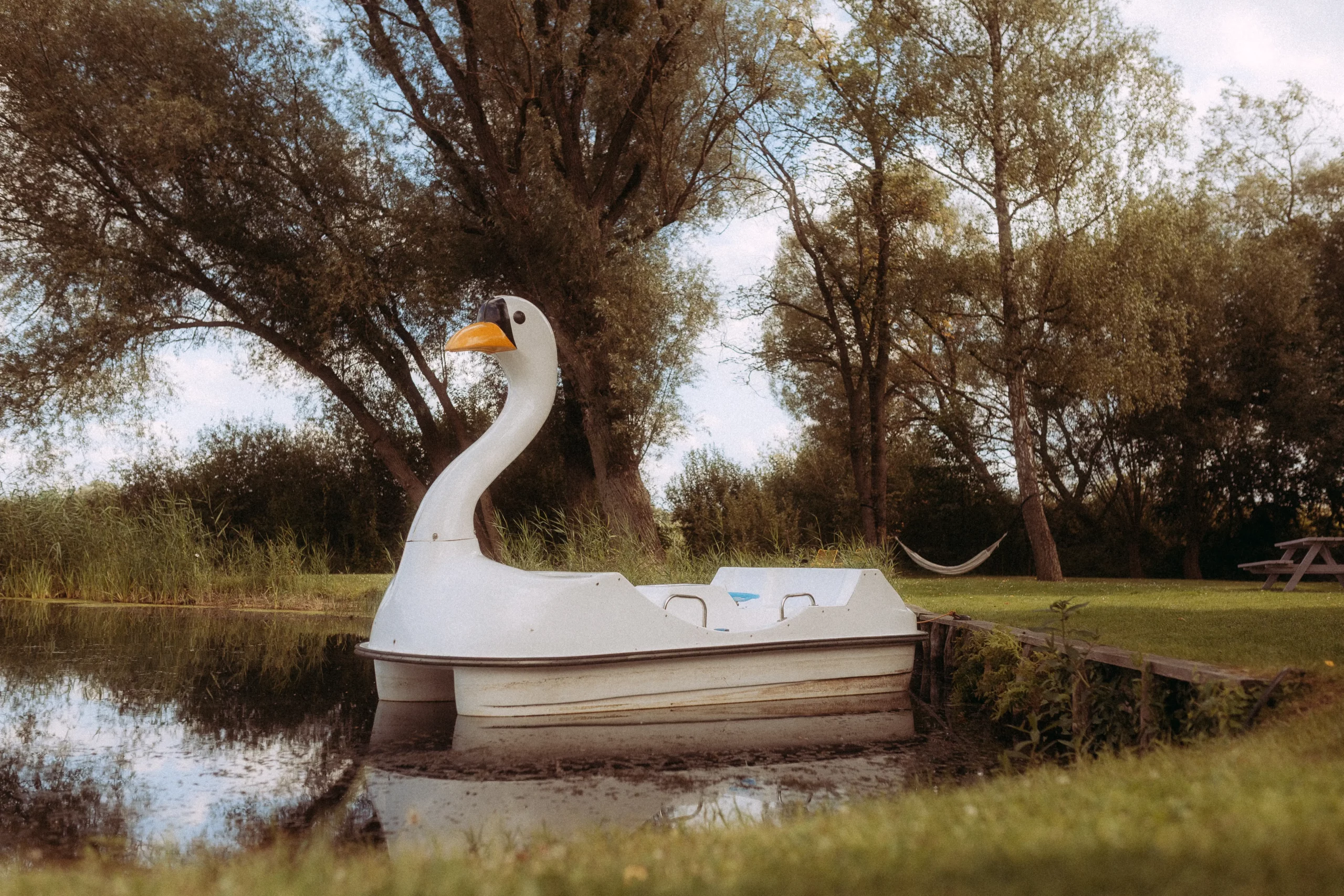 Schwanenboot dümpelt auf einem ruhigen See, umgeben von Bäumen und üppigem Grün. Idyllische Szene in MV, perfekt für Familienfotos MV oder einen Ausflug mit dem Fotograf in MV.