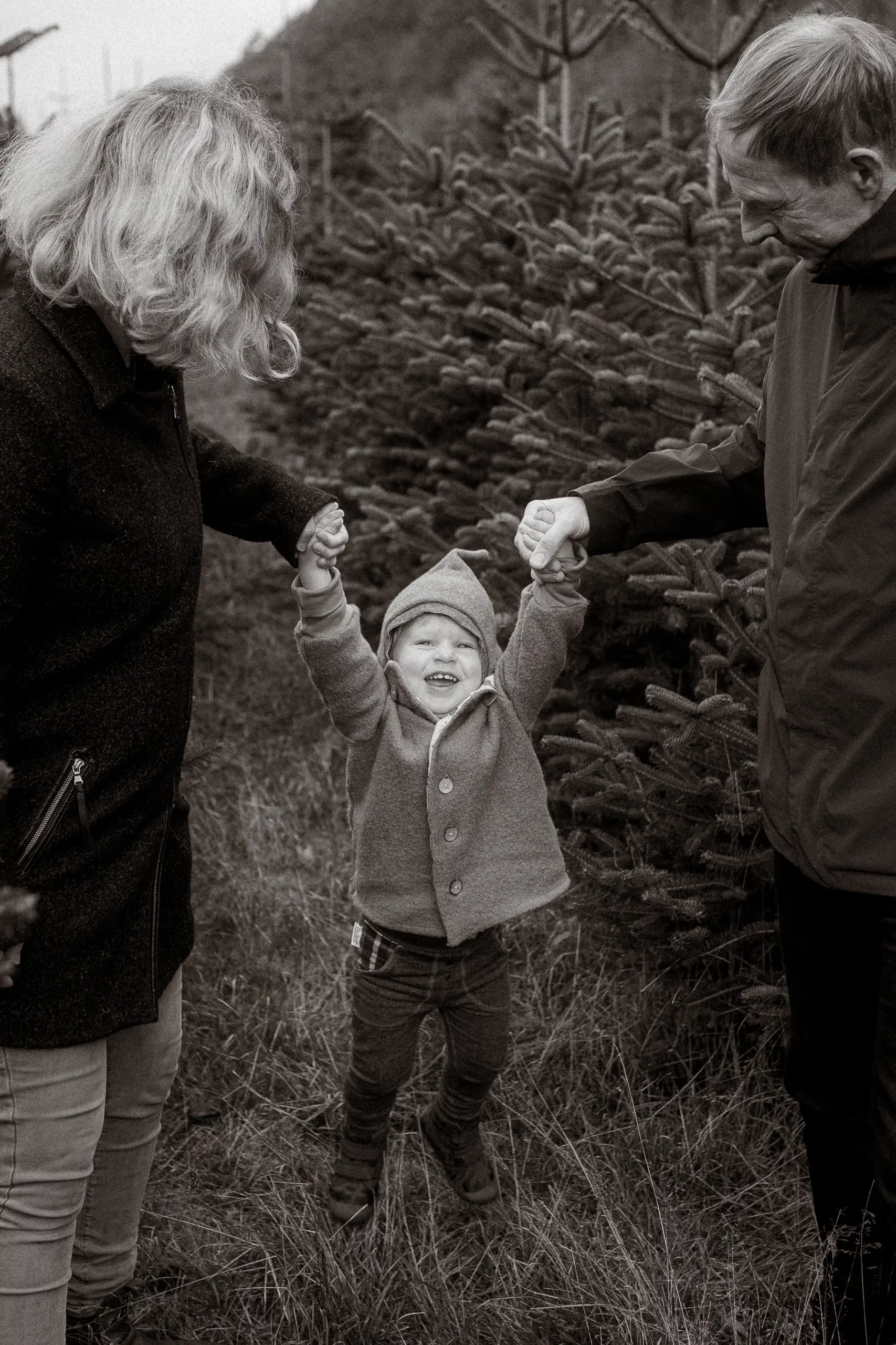 Familie mit Kind auf Weihnachtsbaumplantage