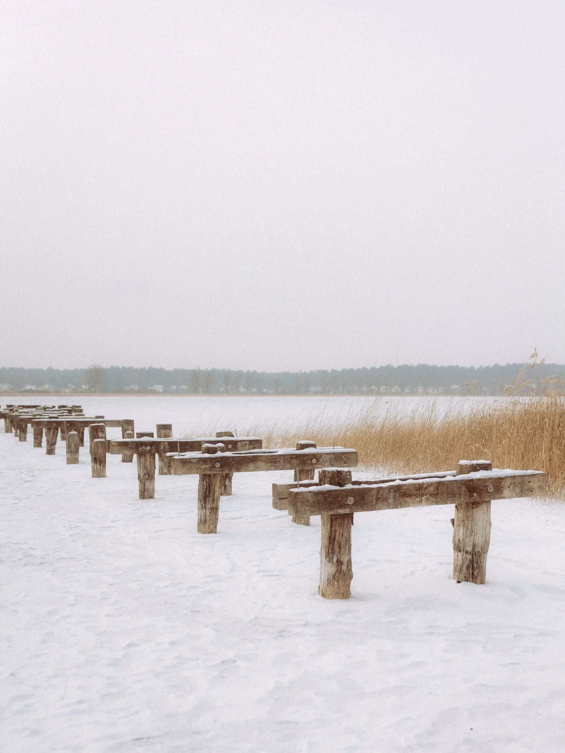 Schneebedeckte Holzbänke sind in Reihen an einem See aufgestellt, mit hohem goldenem Schilf zur Rechten und einem Waldgebiet im Hintergrund unter einem bedeckten Himmel - die perfekte Kulisse für Hochzeitsfotos MV.