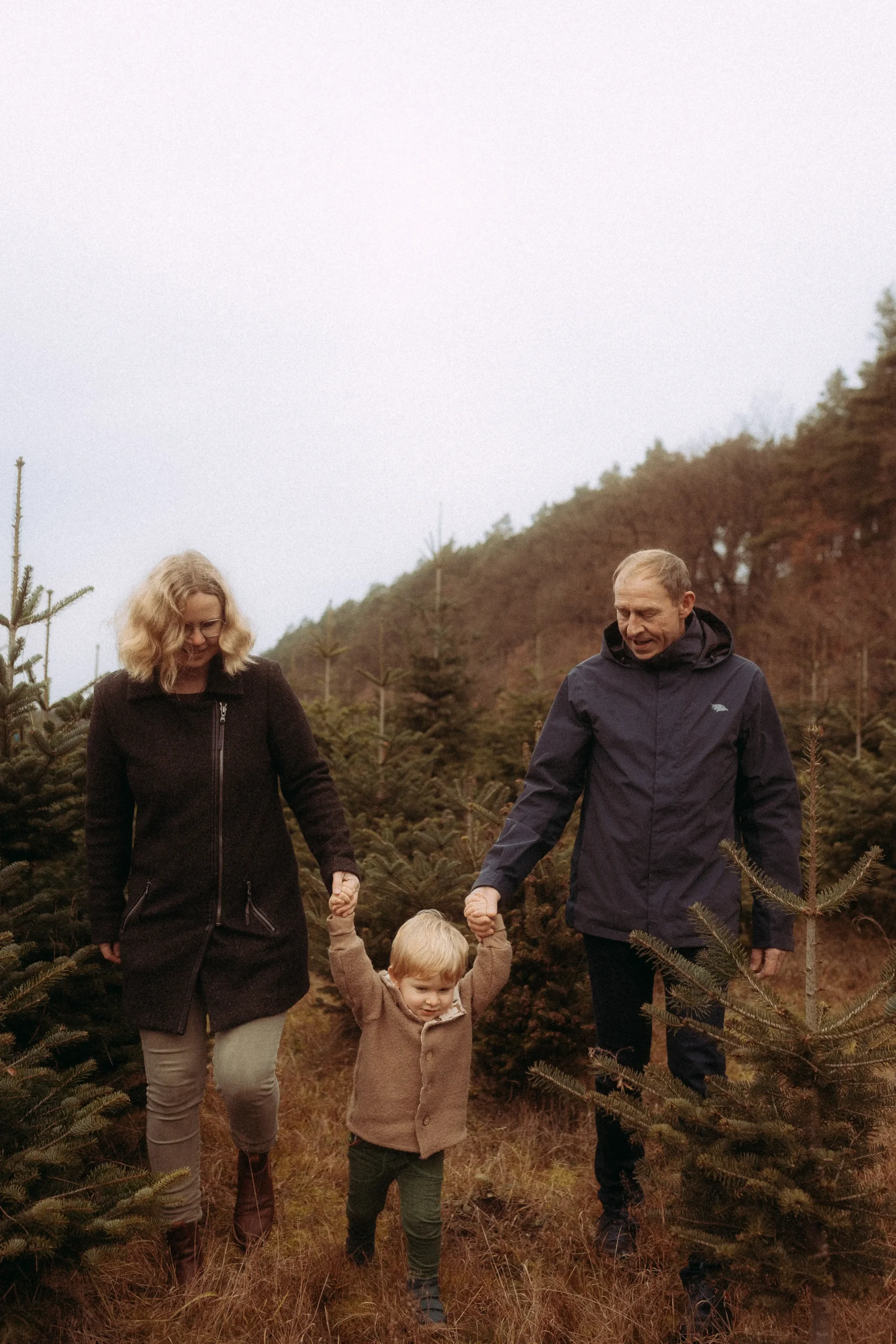Eine Familie spaziert Hand in Hand durch einen Weihnachtsbaumwald, Vater und Mutter halten ihr Kind an den Händen.