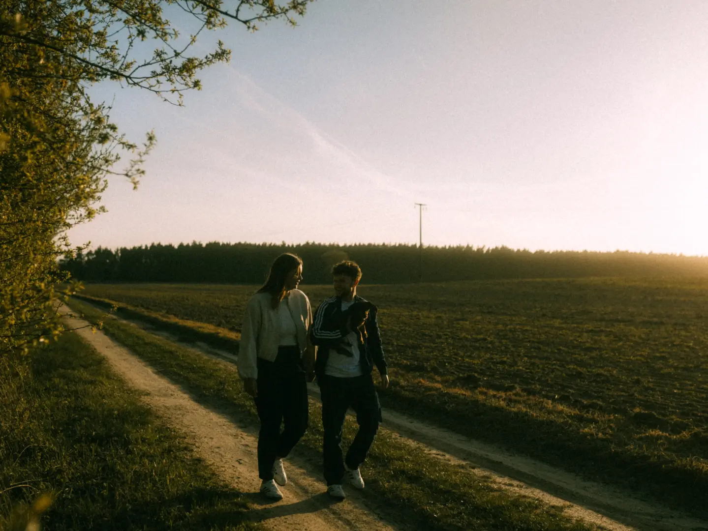 Ein junges Paar spaziert bei warmem Sonnenuntergangslicht auf einem Feldweg und trägt einen kleinen Hund, stimmungsvolle Pärchenfotos Schwerin in der Natur.