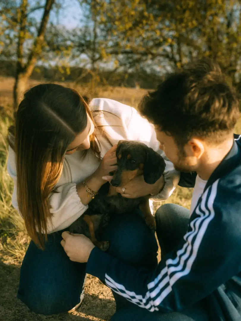 Ein junges Paar streichelt liebevoll einen Dackel während eines Fotoshootings im warmen Licht der goldenen Stunde. Die beiden wirken glücklich und vertraut in dieser natürlichen Umgebung. Eine authentische Aufnahme vom Lovestory Fotograf in Schwerin und MV.