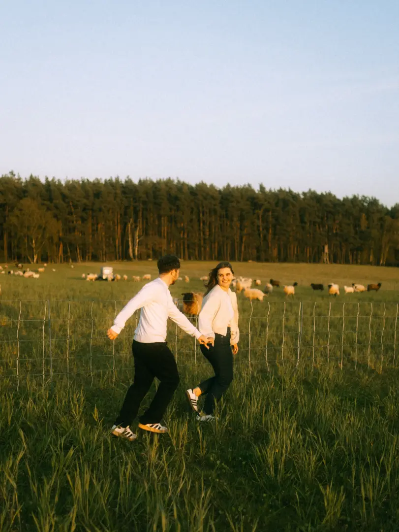 Ein glückliches Paar hält Händchen und läuft lachend über eine sonnige Wiese vor einer Waldkulisse, während im Hintergrund eine Schafherde grast. Diese authentischen Pärchenfotos in Schwerin fangen einen romantischen Moment in der Natur perfekt ein.