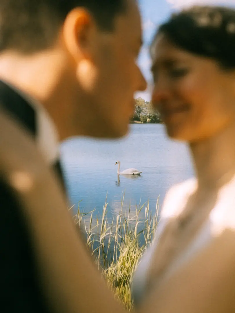 Ein romantisches Brautpaar in unscharfem Vordergrund blickt sich liebevoll an, während im Hintergrund ein weißer Schwan einsam auf einem ruhigen See schwimmt. Eine stimmungsvolle Aufnahme für eine Lovestory als Fotograf für Pärchen in Schwerin.