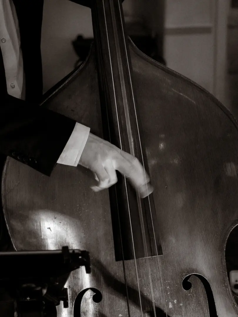 Nahaufnahme eines Musikers im eleganten Anzug, der einen Kontrabass spielt. Die Hand des Musikers ist in einer dynamischen Bewegung an den Saiten des Instruments eingefangen. Das Bild ist in einem stilvollen Schwarz-Weiß-Ton gehalten, ideal für Hochzeitsfotograf in Schwerin und MV.