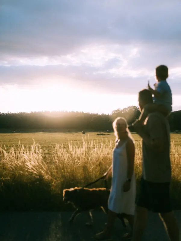Eine junge Familie genießt einen Spaziergang bei Sonnenuntergang durch ein goldenes Feld. Ein Vater trägt sein Kind auf den Schultern, während die Mutter den Hund an der Leine führt. Stimmungsvolle Familienfotos in Schwerin, die die warme Atmosphäre des Sommers einfangen.